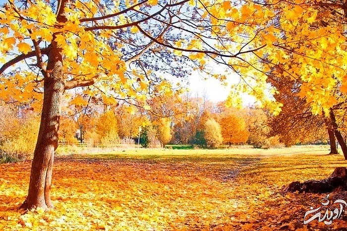 پاییز